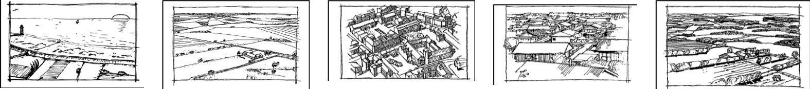 Different terrain types
