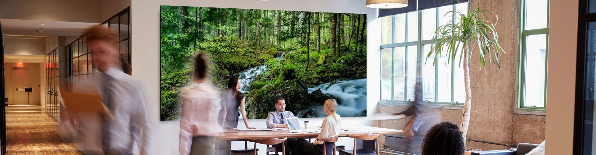 Peerless-AV Showcase