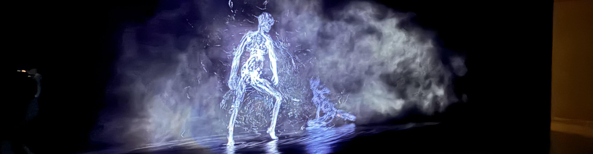 ROE Visual Provides LED Canvas for Wayne Mcgergor's Infinite Bodies