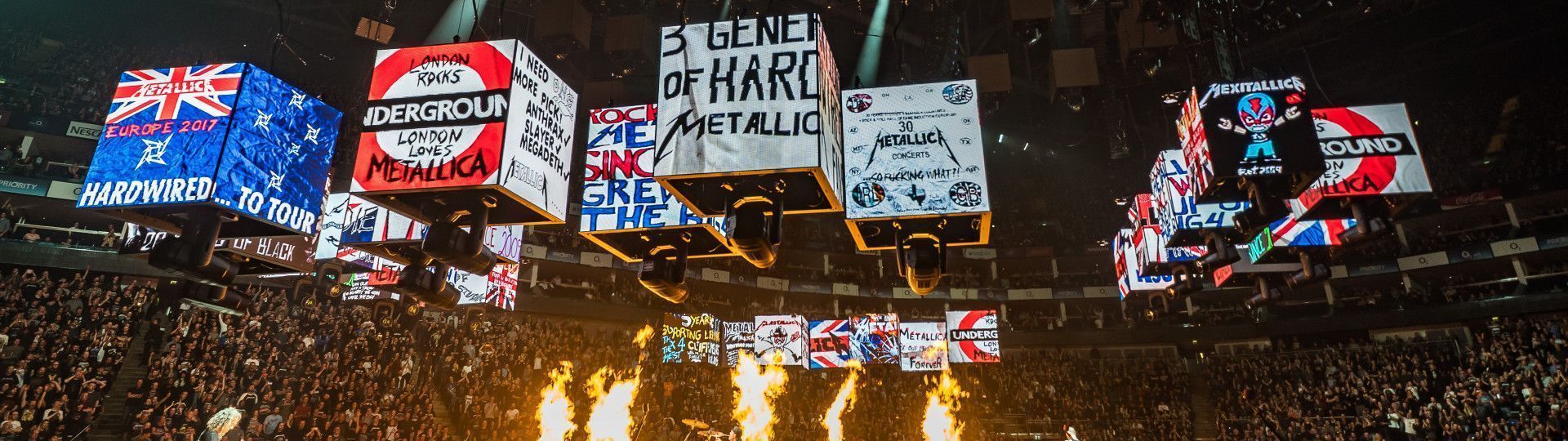 ROE Visual for Metallica