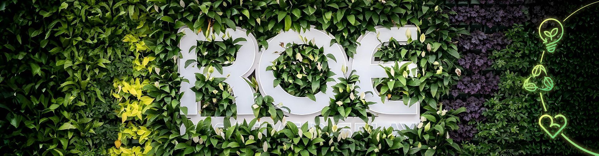 green roe